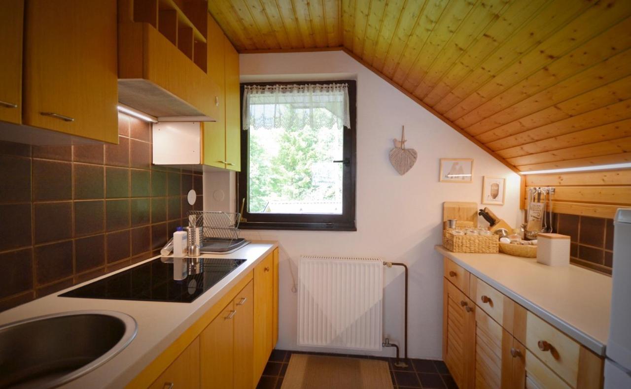 Apartma Zidan Kranjska Gora Kültér fotó
